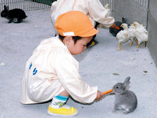 写真;