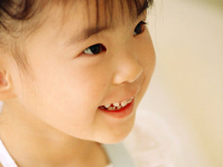 写真;