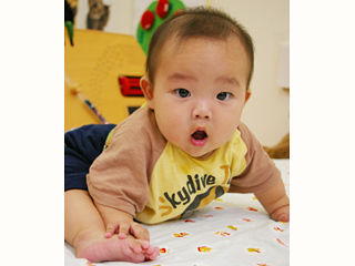 写真;