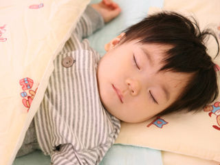 写真；