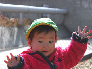 写真;