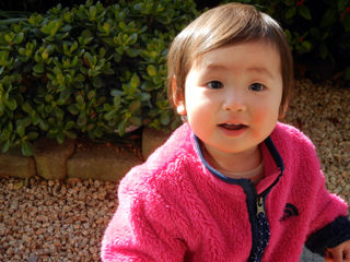 写真；