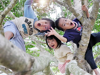 写真;