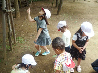 写真;