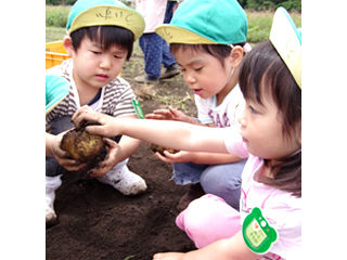 写真；