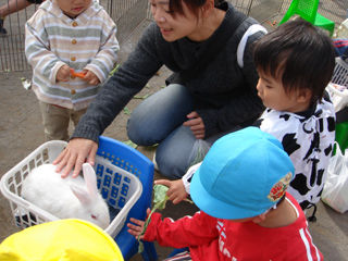 写真;