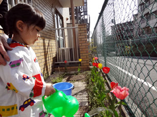 写真;