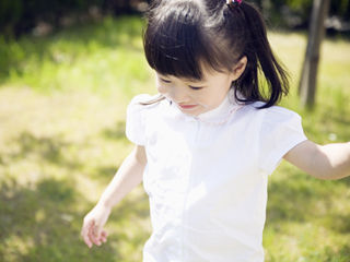 写真;