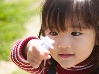 写真;