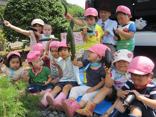 写真;