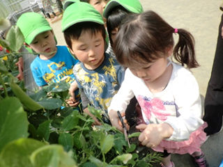写真;