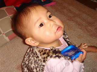 写真;