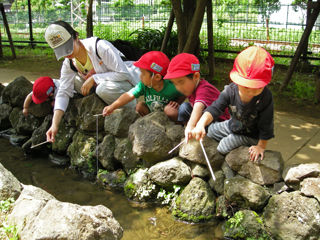 写真;