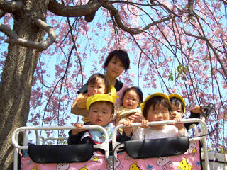 写真;