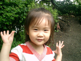 写真;