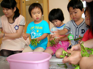 写真;
