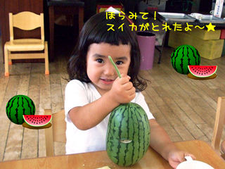 写真;