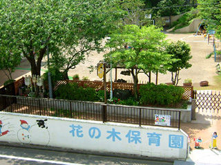 写真;