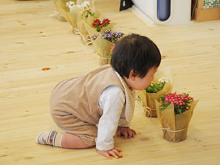 写真;