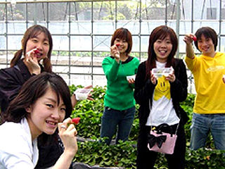 写真;