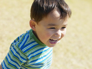 写真;