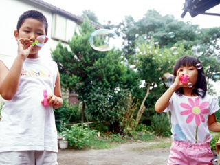 写真;
