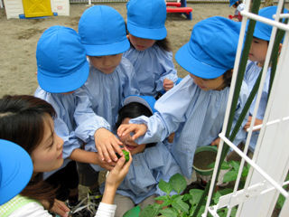 写真;