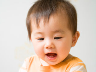 写真;