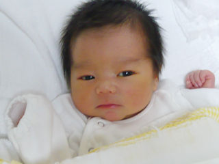 写真;