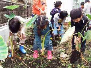 写真;