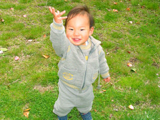 写真;
