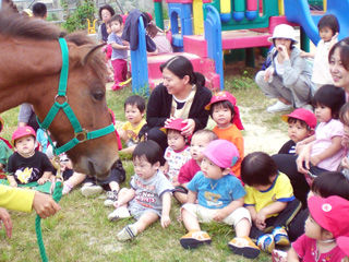 写真;