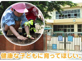写真;