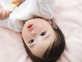 写真;