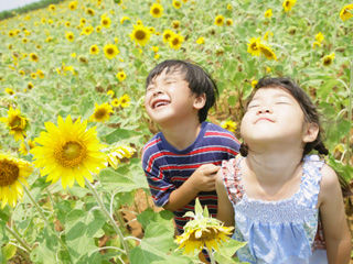 写真;