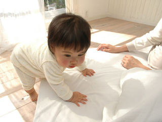 写真;