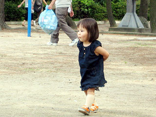 写真;