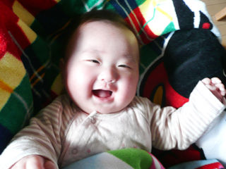 写真;