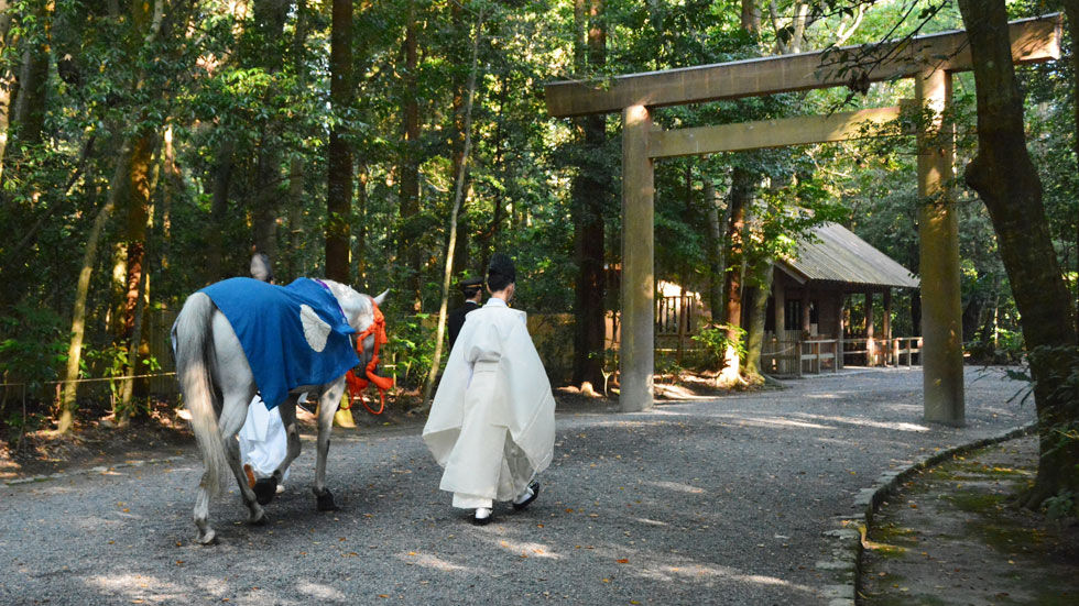 三重県の皆さんに向けた求人を掲載