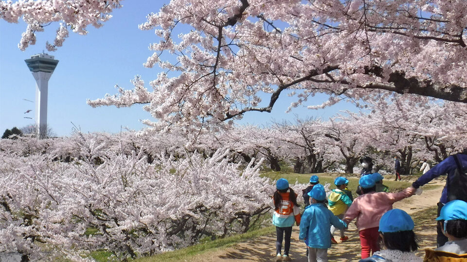 函館三育認定こども園