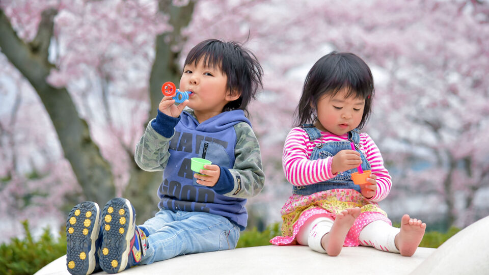 未来こども園