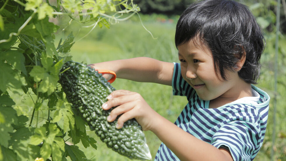 特定非営利活動法人　坂戸市学童保育の会